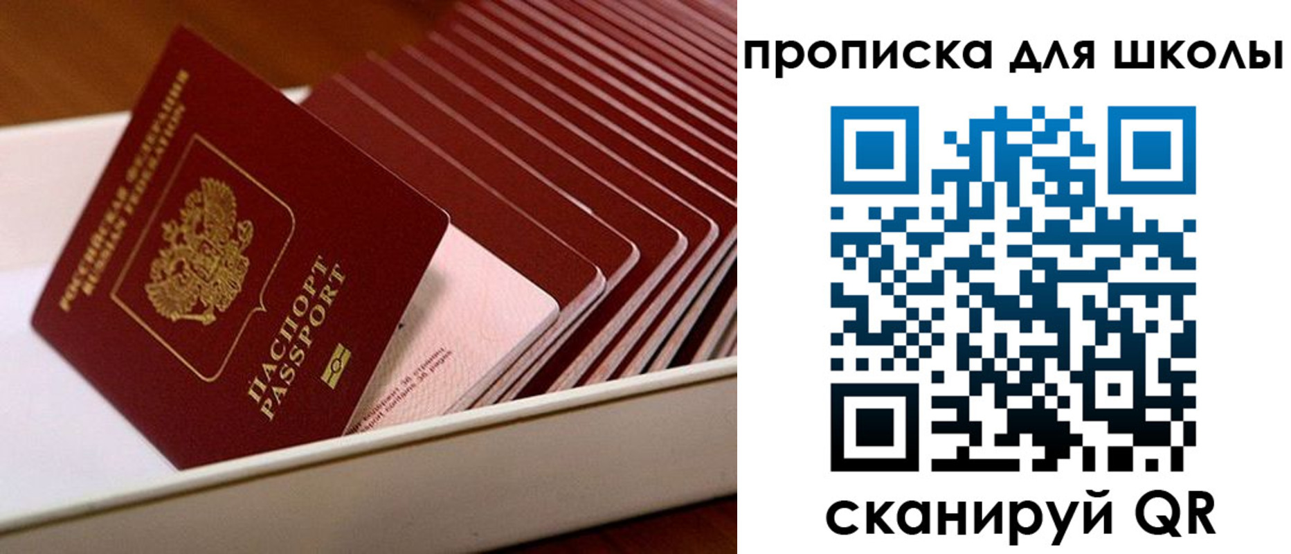 временная регистрация гарантия в Пересвете